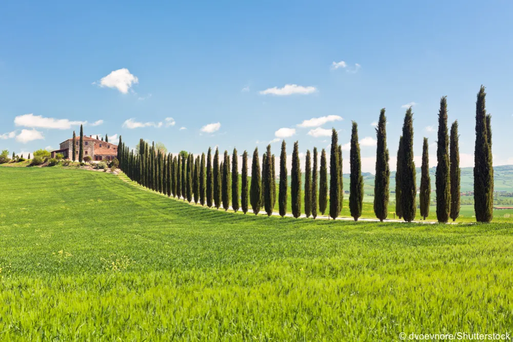 Via Francigena, private tours in Tuscany