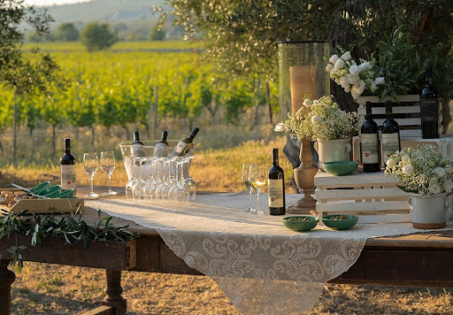 Private wine tasting, Puglia 