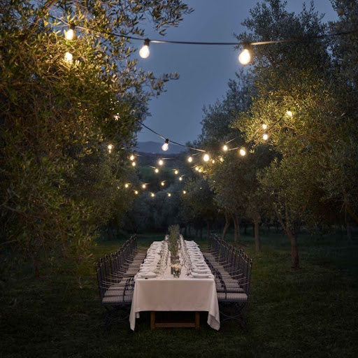 Olive grove dining, Tuscany